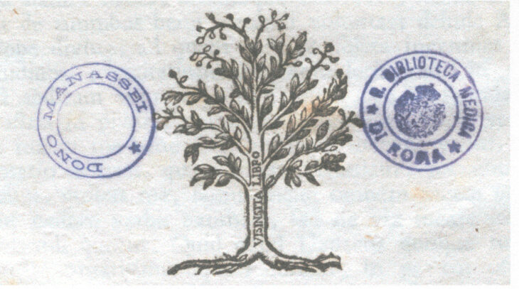 Marca tipografica image