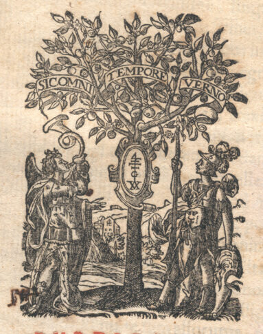 Marca tipografica image