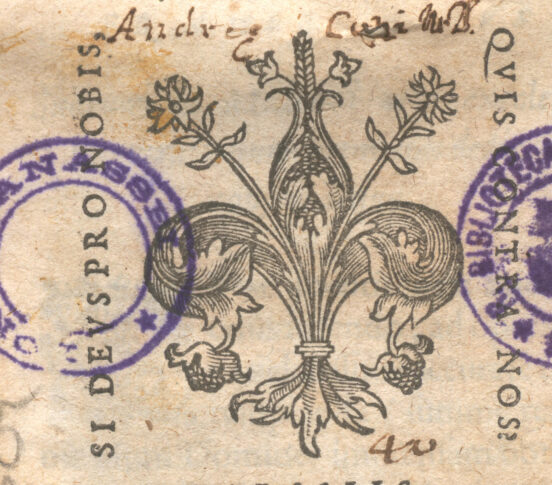 Marca tipografica image