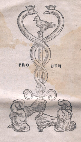 Marca tipografica image