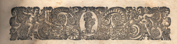 Marca tipografica image