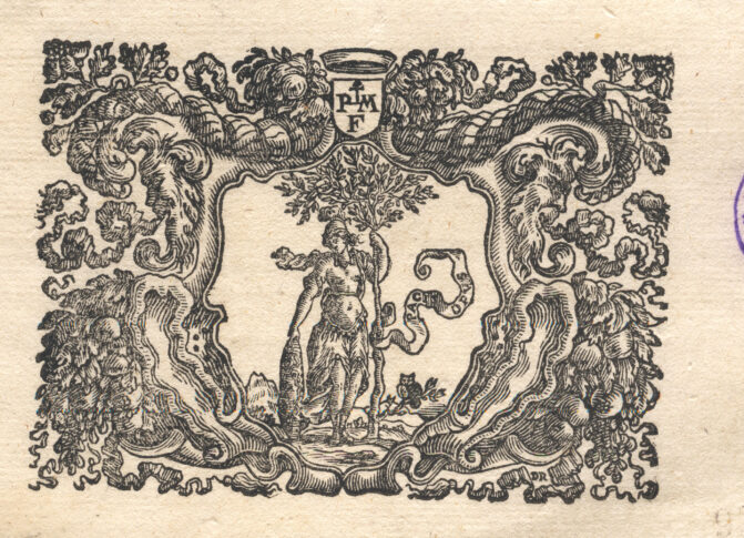 Marca tipografica image