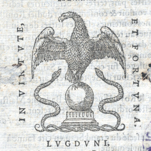 Marca tipografica image