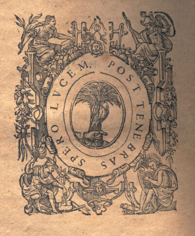 Marca tipografica image