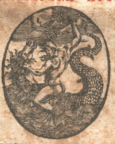 Marca tipografica image