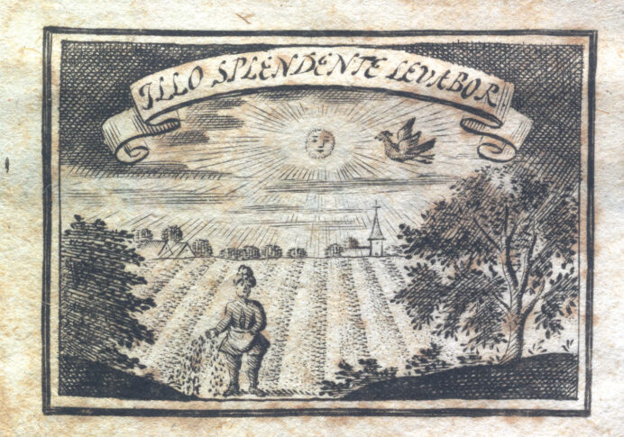 Marca tipografica image