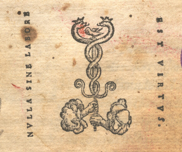 Marca tipografica image