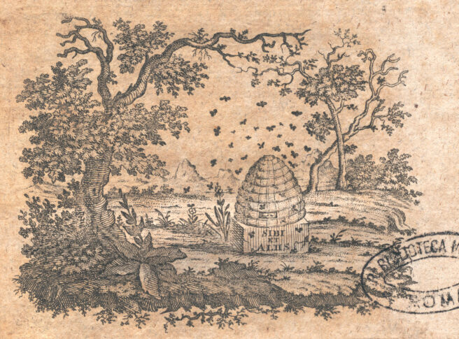 Marca tipografica image