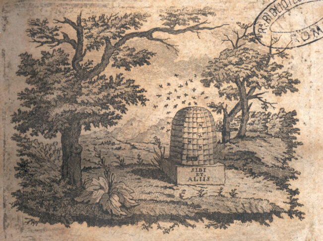 Marca tipografica image