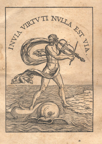 Marca tipografica image