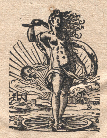 Marca tipografica image