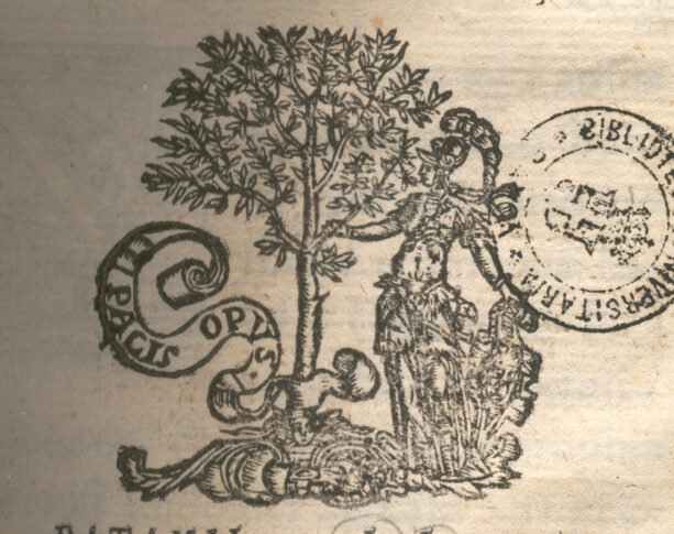 Marca tipografica image