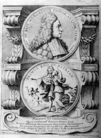 Medico in posa image
