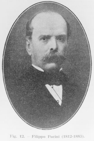 Medico in posa image