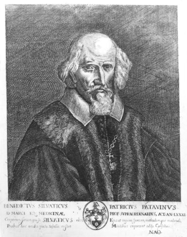Medico in posa image